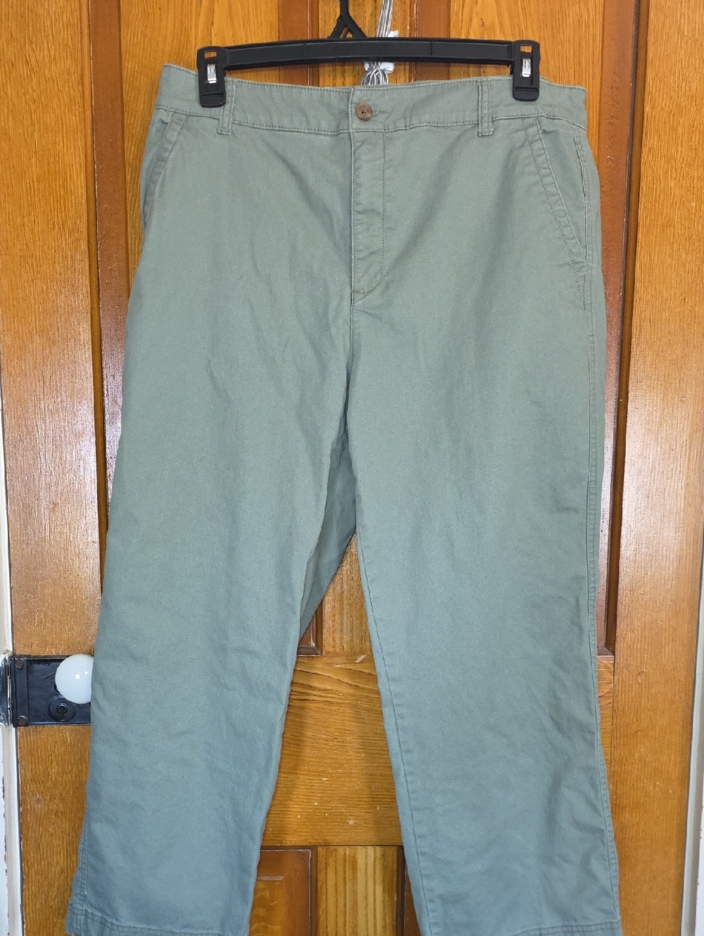 GAP Straight-Leg Pants in Sage Green